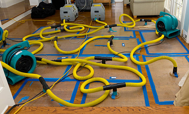Professional Water Damage Restoration technician working in Chapel Hill, TN